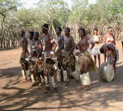 Gef�hrte Touren, Safari und Flugsafari - Kr�ger Park, Swaziland und Zululand